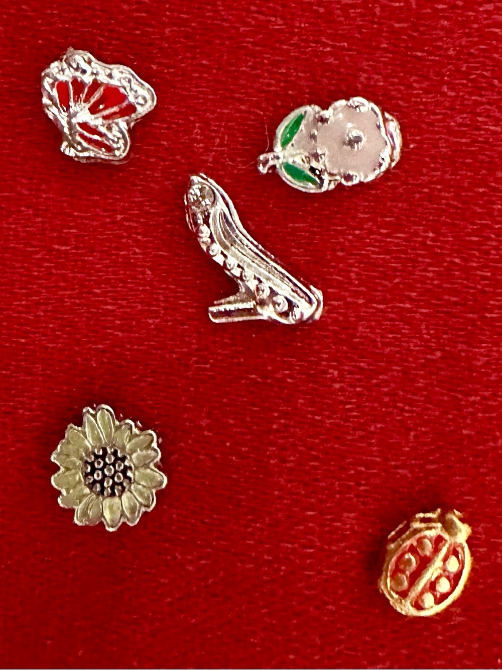 Vintage Enamel Floating Charm Set - 5 Pieces